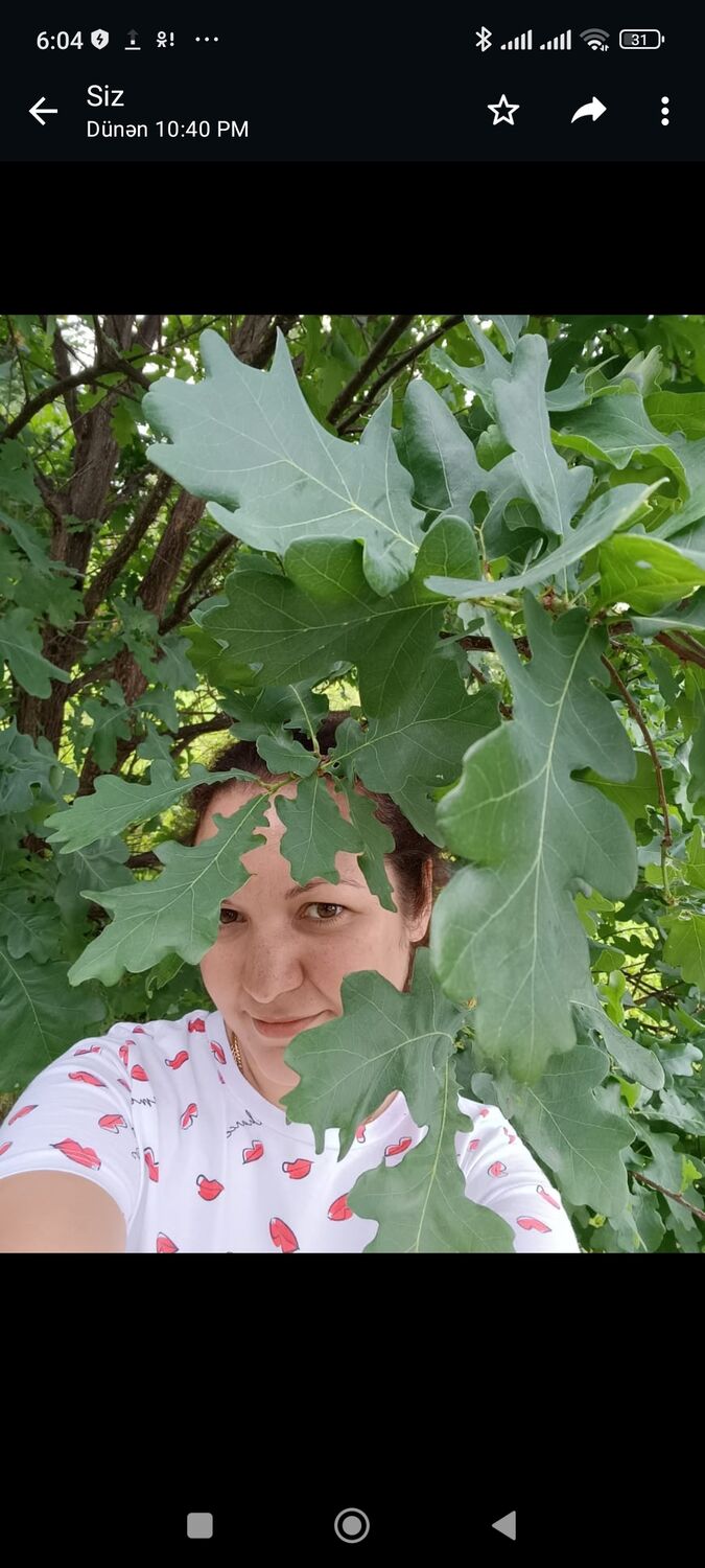 ���� 55560144 ������� ��������, 40 ���, ���� ���������� � ������