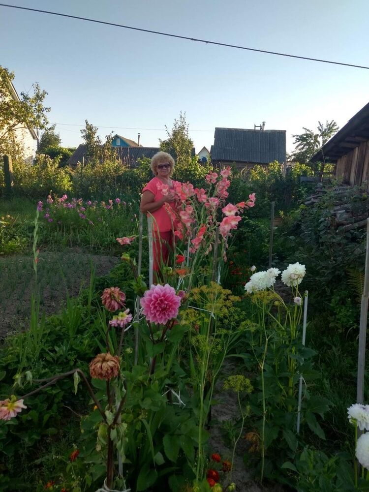  13052634  , 64 ,    