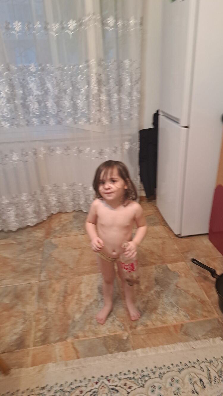  41941824  , 33 ,    