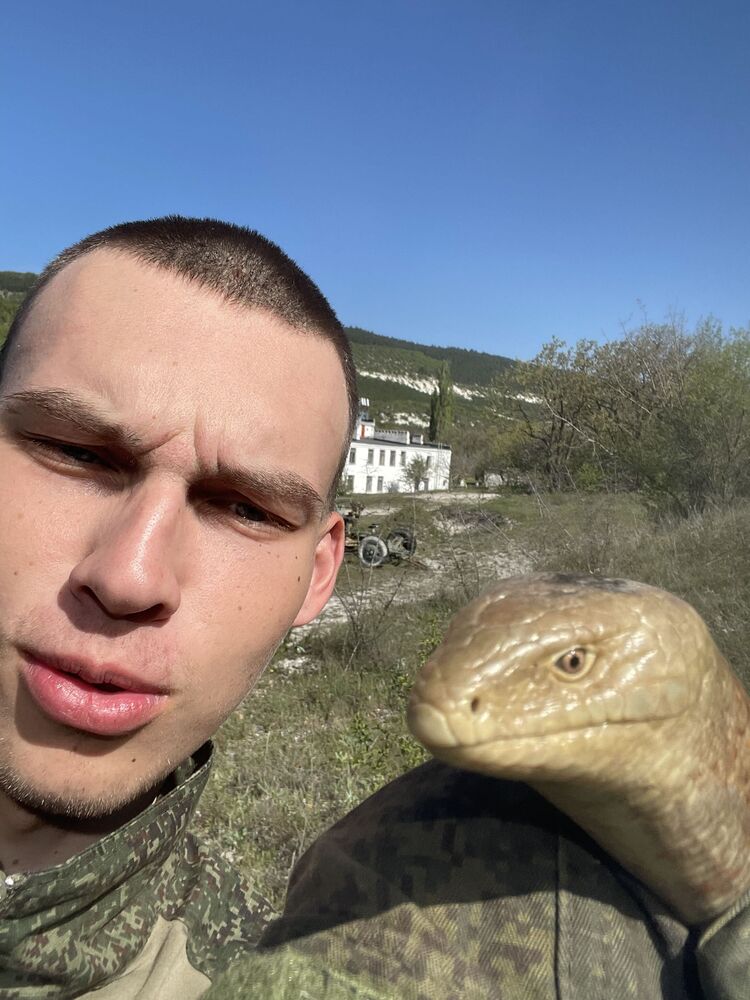 ���� 55858514 ����� �������, 20 ���, ���� ���������� � ������