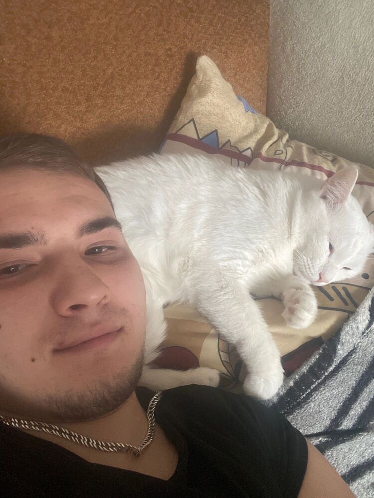 ���� 53222484 ������� �������, 26 ���, ���� ���������� � �������������