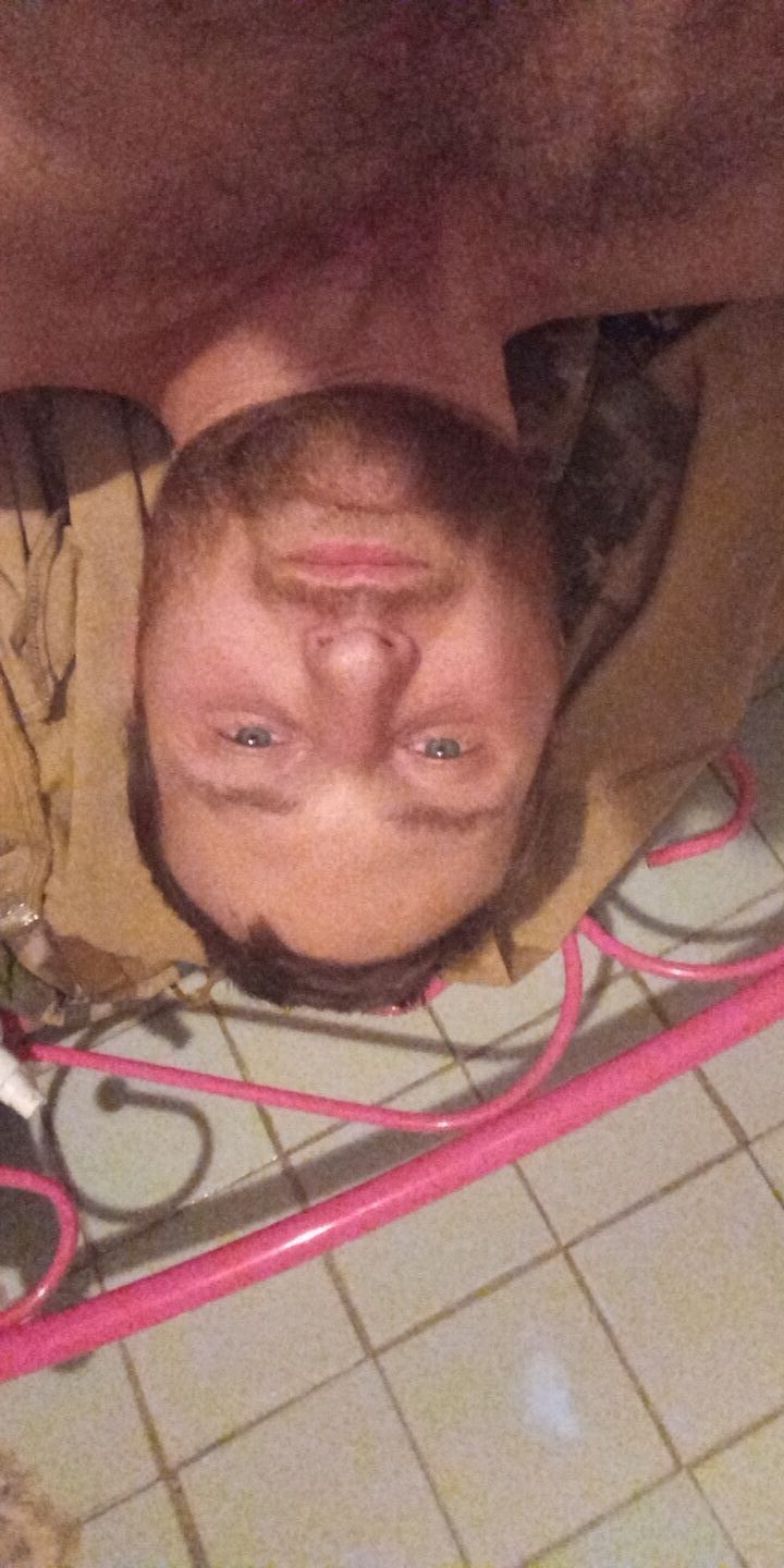 ���������� ��������������, ���� ������� ���������, 29 ���, ������������ ��� ������