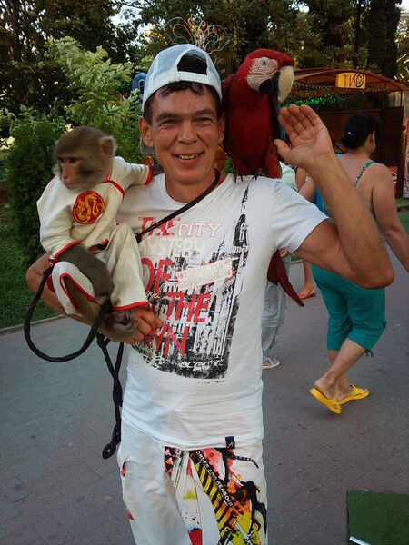 ���������� ������, ���� ������� ��������, 55 ���, ������������ ��� ������, ����� � ���������, c�������� ���������