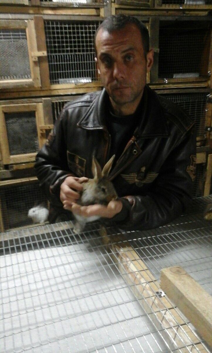 ���������� �����, ���� ������� ����, 50 ���, ������������ ��� ������, ����� � ���������, c�������� ���������