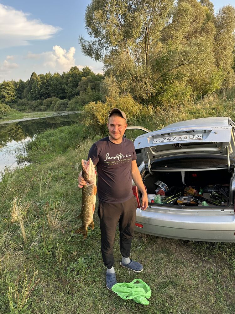 ���� 55910694 ������� ����, 33 ����, ���� ���������� � ������