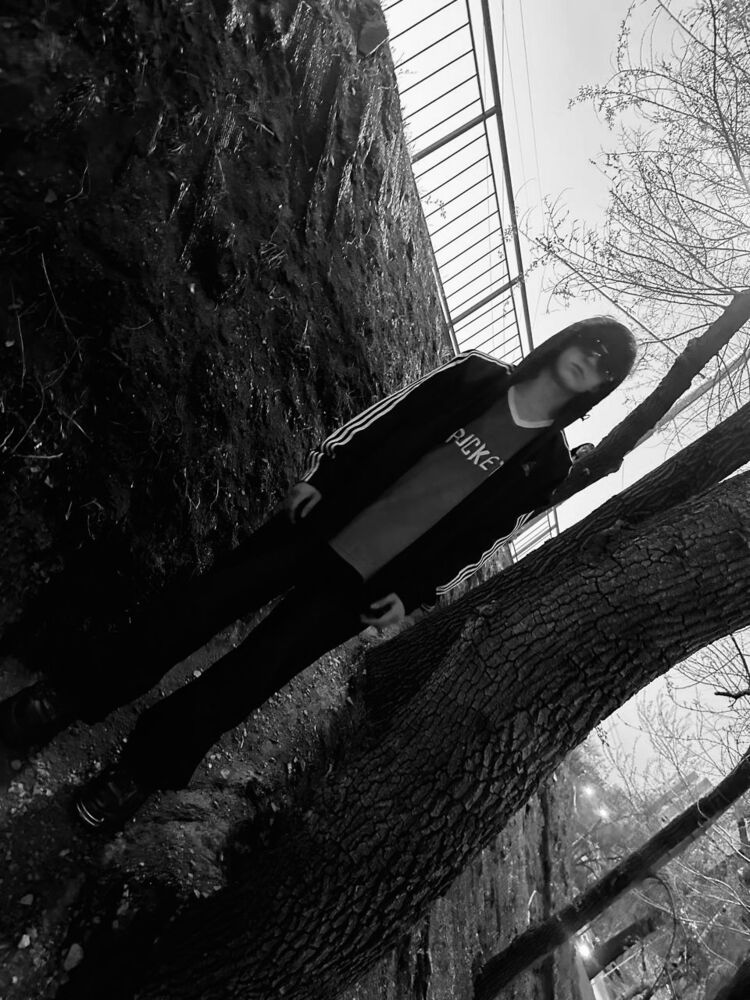 ���� 43997454 ����� �����, 20 ���, ���� ���������� � ������������