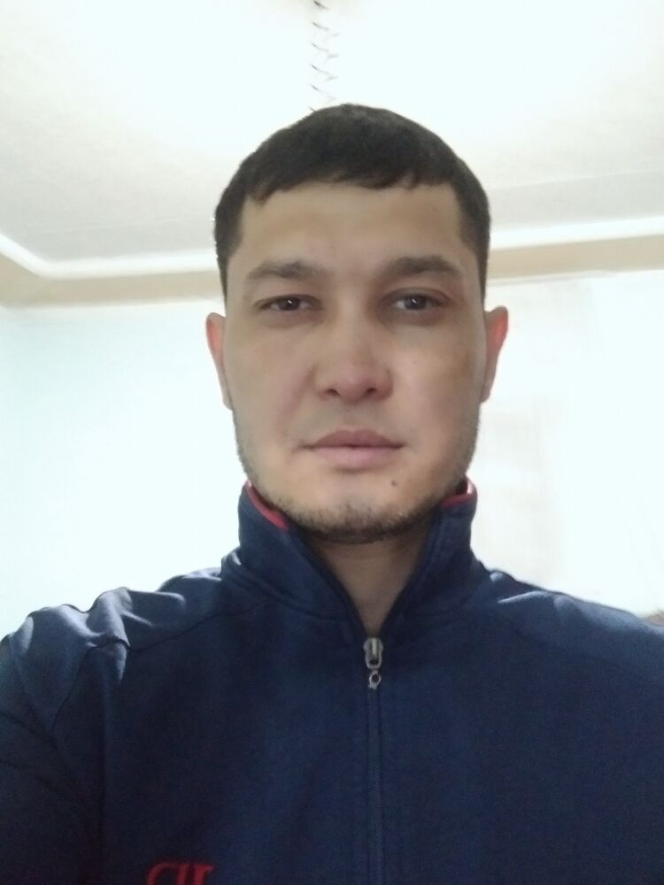  50505354  , 38 ,    