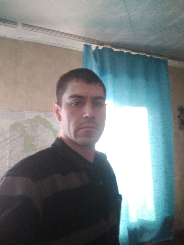  31175784  , 33 ,    