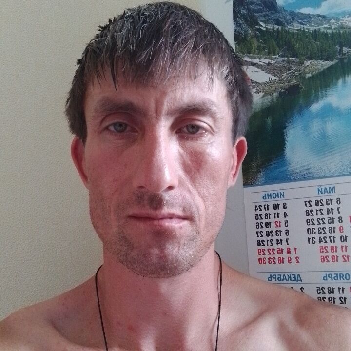  45008874  , 34 ,    