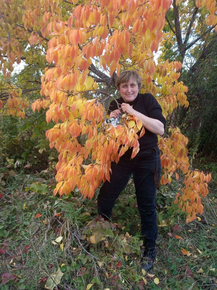 ���������� ���������, ���� ������� �����, 59 ���, ������������ ��� ����� � ���������, c�������� ���������