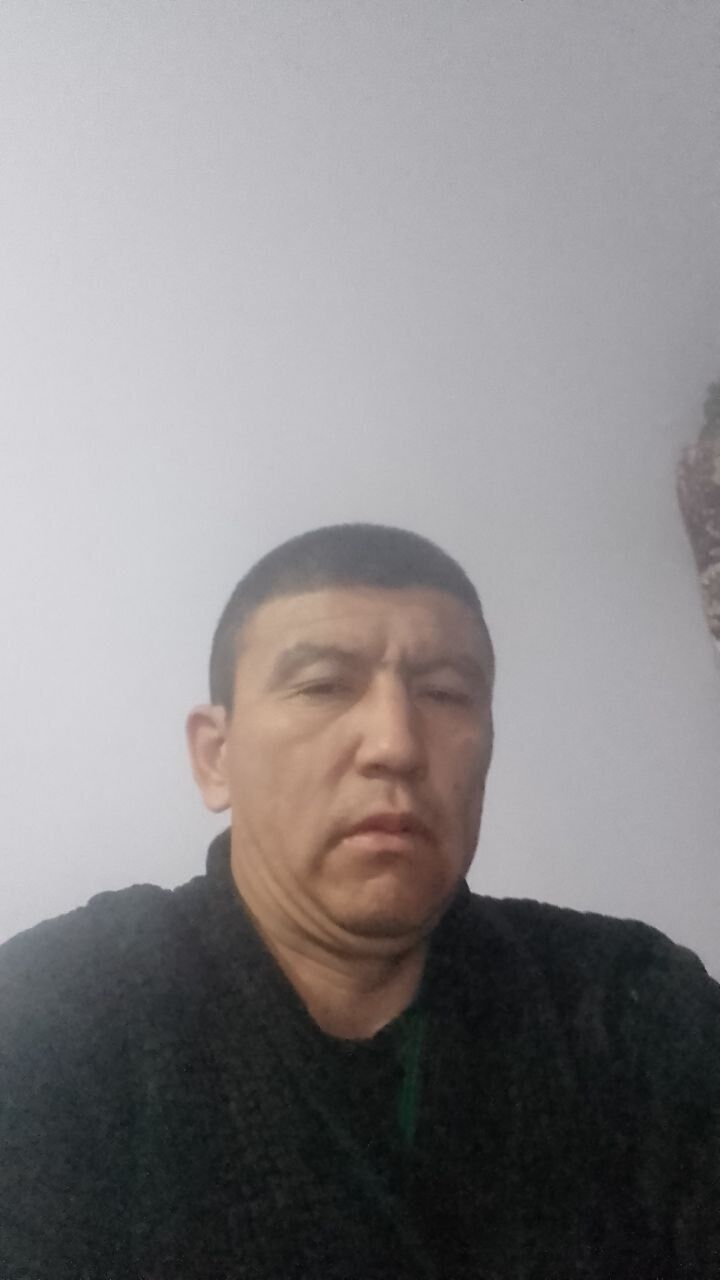  40239254  , 40 ,    