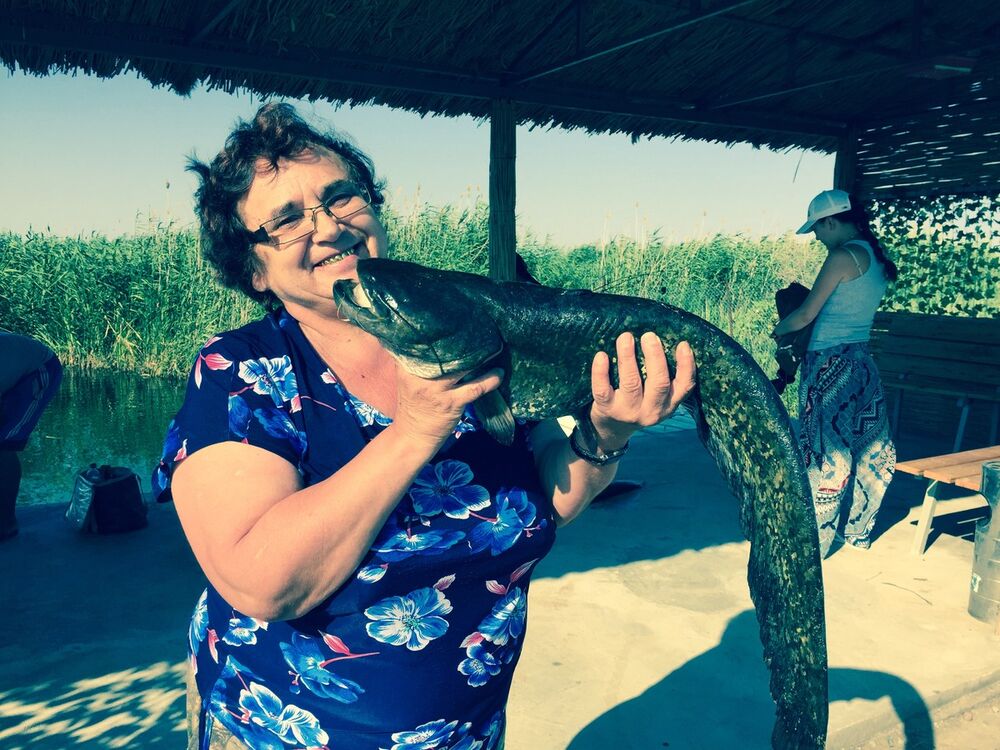 ���������� ������, ���� ������� �����, 66 ���, ������������ ��� ������, ����� � ���������, c�������� ���������