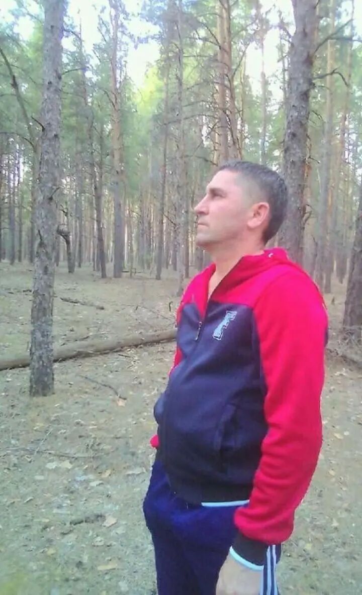  39772394  , 48 ,    