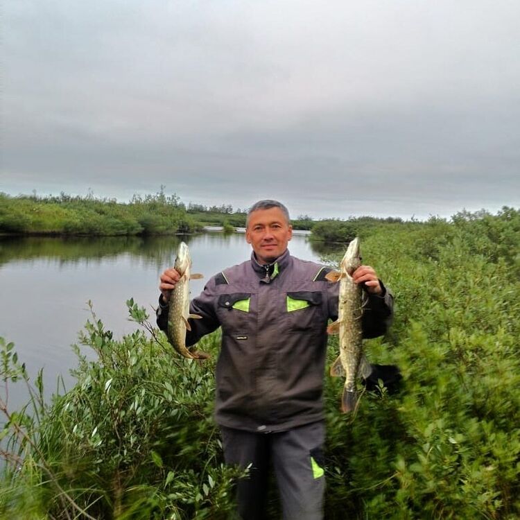 ���������� ���, ���� ������� �����, 56 ���, ������������ ��� c�������� ���������, ���������