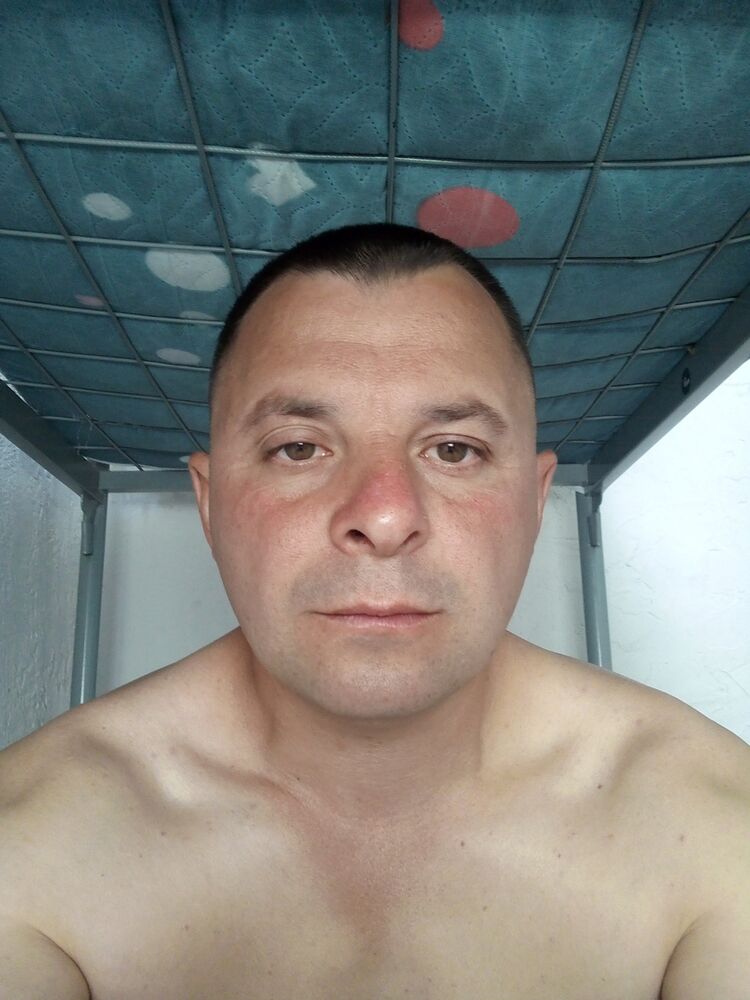  50282954  , 41 ,    