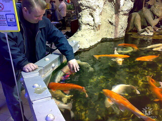 ���������� ������, ���� ������� Evgeny, 48 ���, ������������ ��� ������, ����� � ���������, c�������� ���������