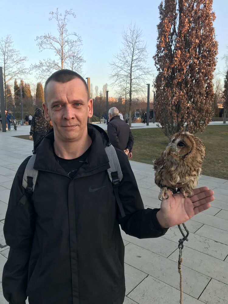 ���� 50261514 ������� �����, 33 ����, ���� ���������� � ��������