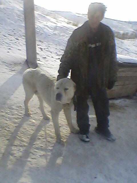 ���� 6279844 ������� ����, 58 ���, ���� ���������� � ������