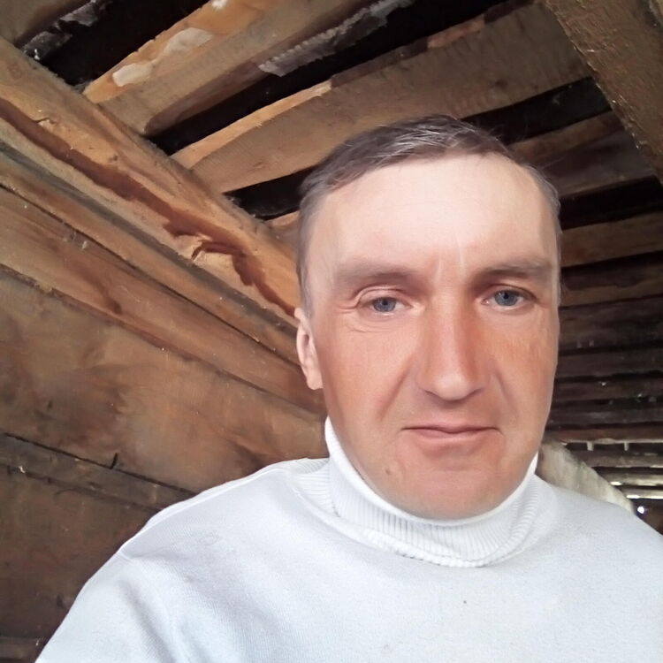  22641574  , 48 ,    