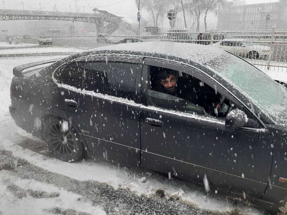 ���������� ������, ���� ������� Ramzes, 41 ���, ������������ ��� ������, ����� � ���������, c�������� ���������