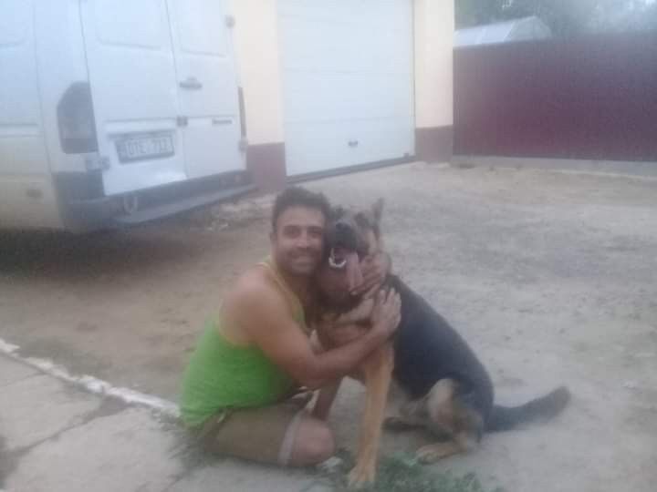  ,   , 43 ,   