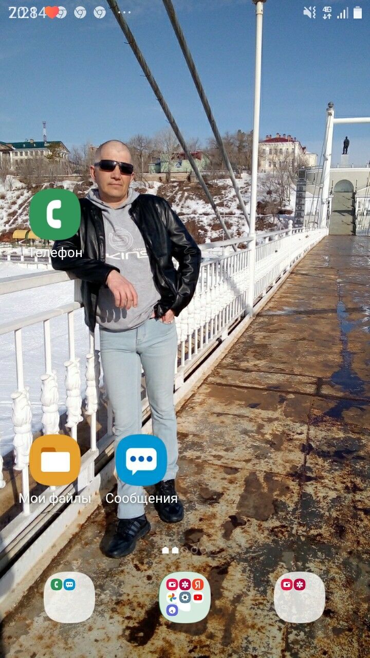  31138814  , 43 ,    