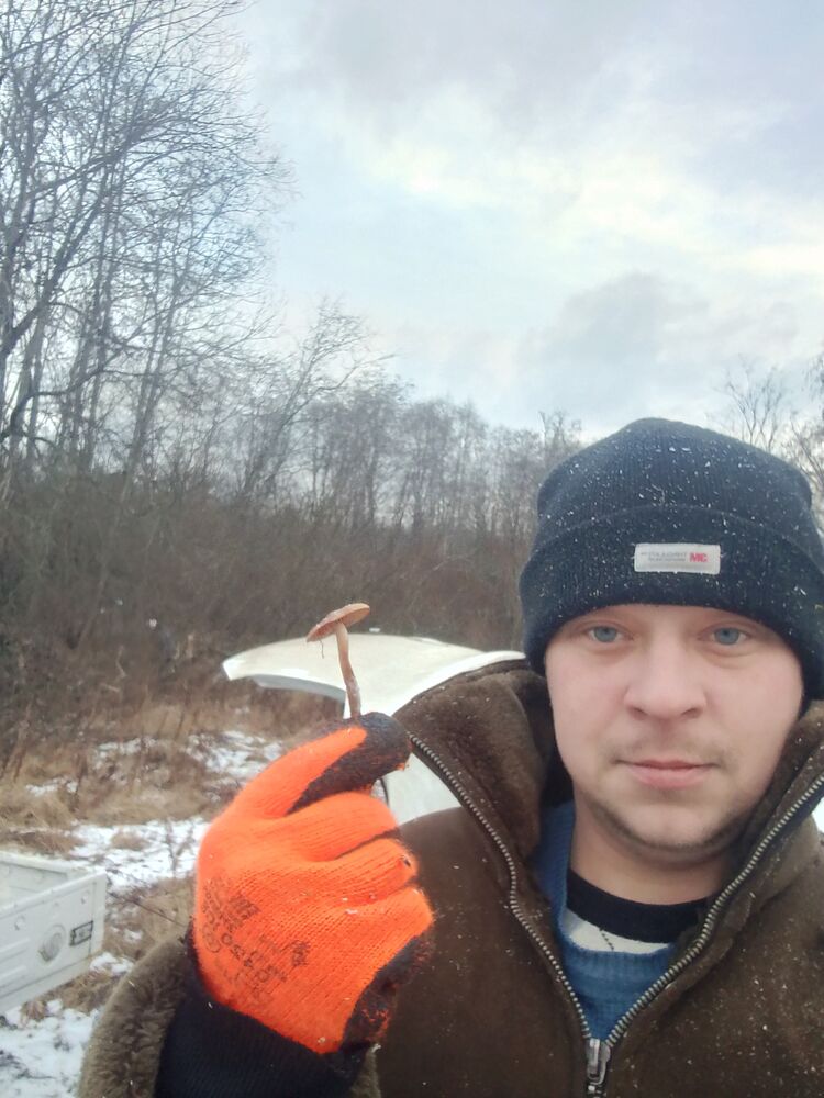   ,   , 29 ,   c 