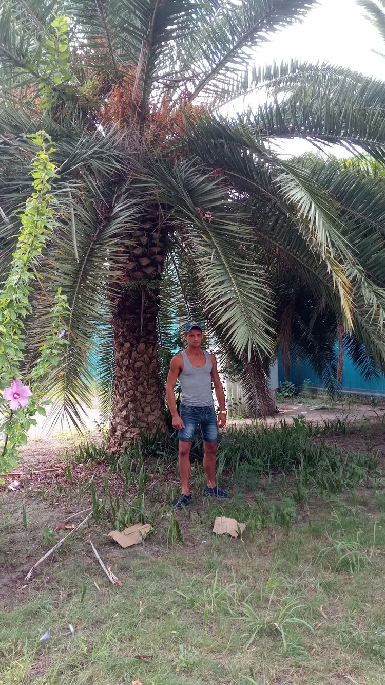 ���������� ������, ���� ������� Dimarik, 34 ����, ������������ ��� ������, ����� � ���������