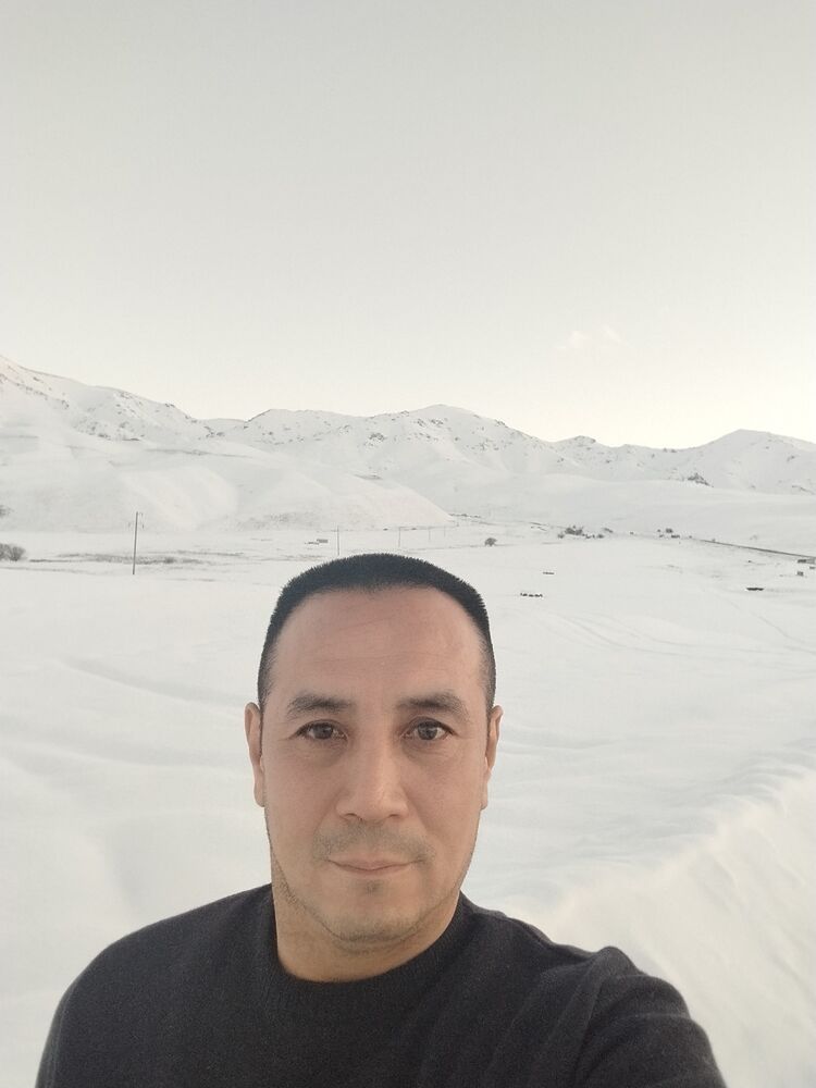  41770894  , 46 ,    