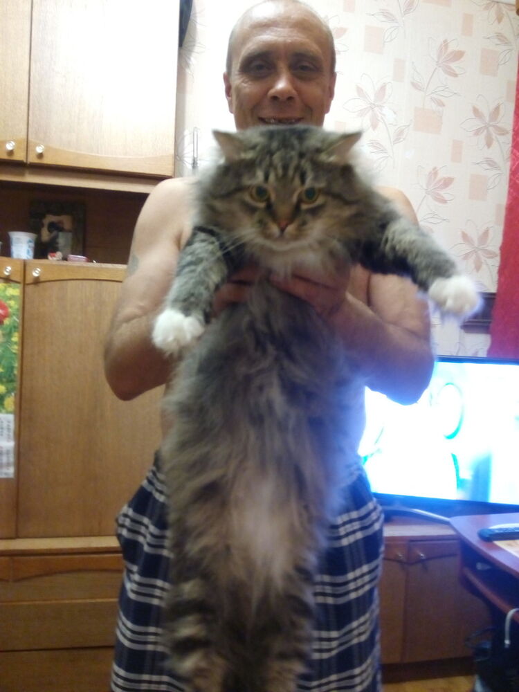  ,   , 56 ,   ,   , c 