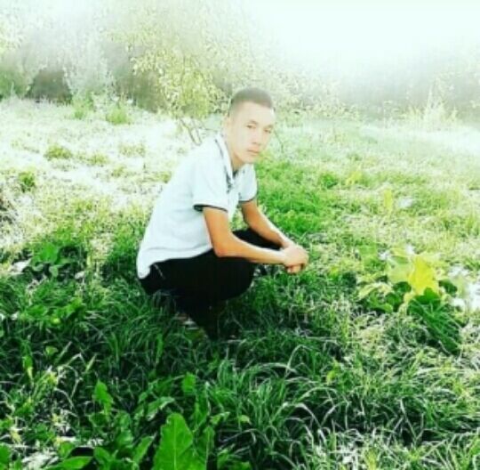 ���������� ������, ���� ������� �����, 37 ���, ������������ ��� ������, ����� � ���������, c�������� ���������, ���������