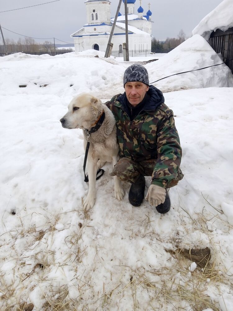 ���� 50276174 ������� ������, 52 ����, ���� ���������� � �������