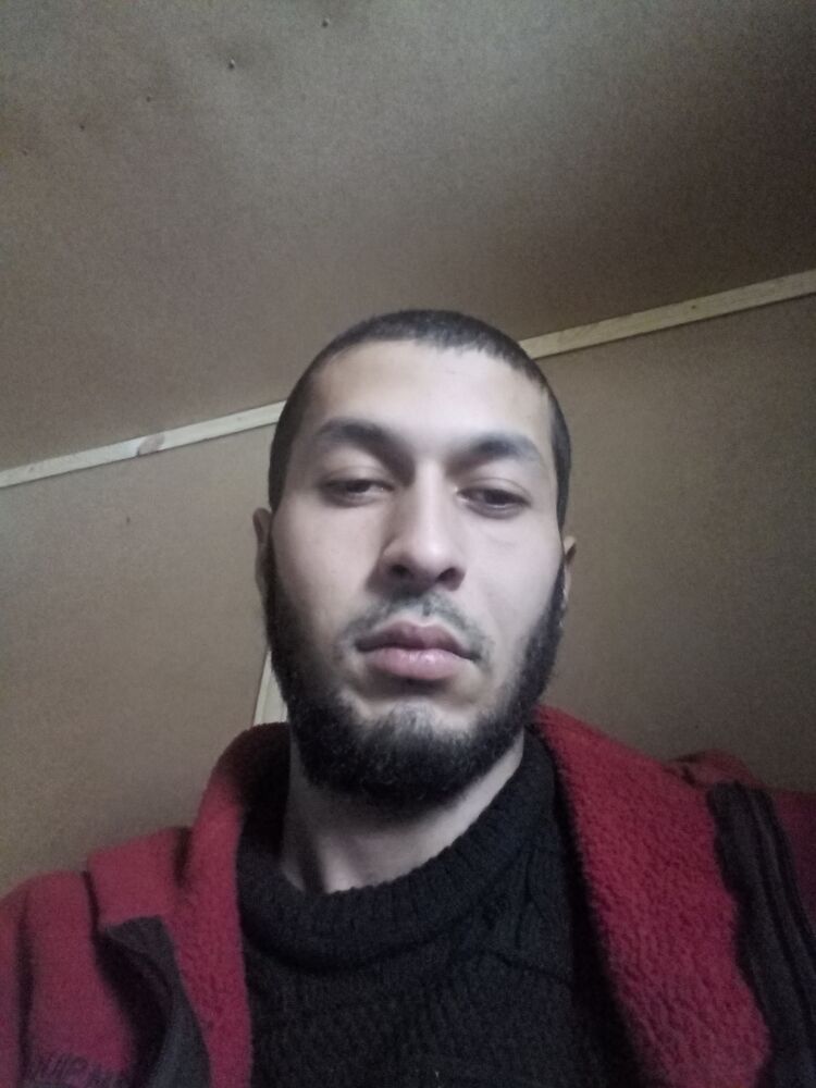 ���� 31002184 ������� ��������, 31 ���, ���� ���������� � ������