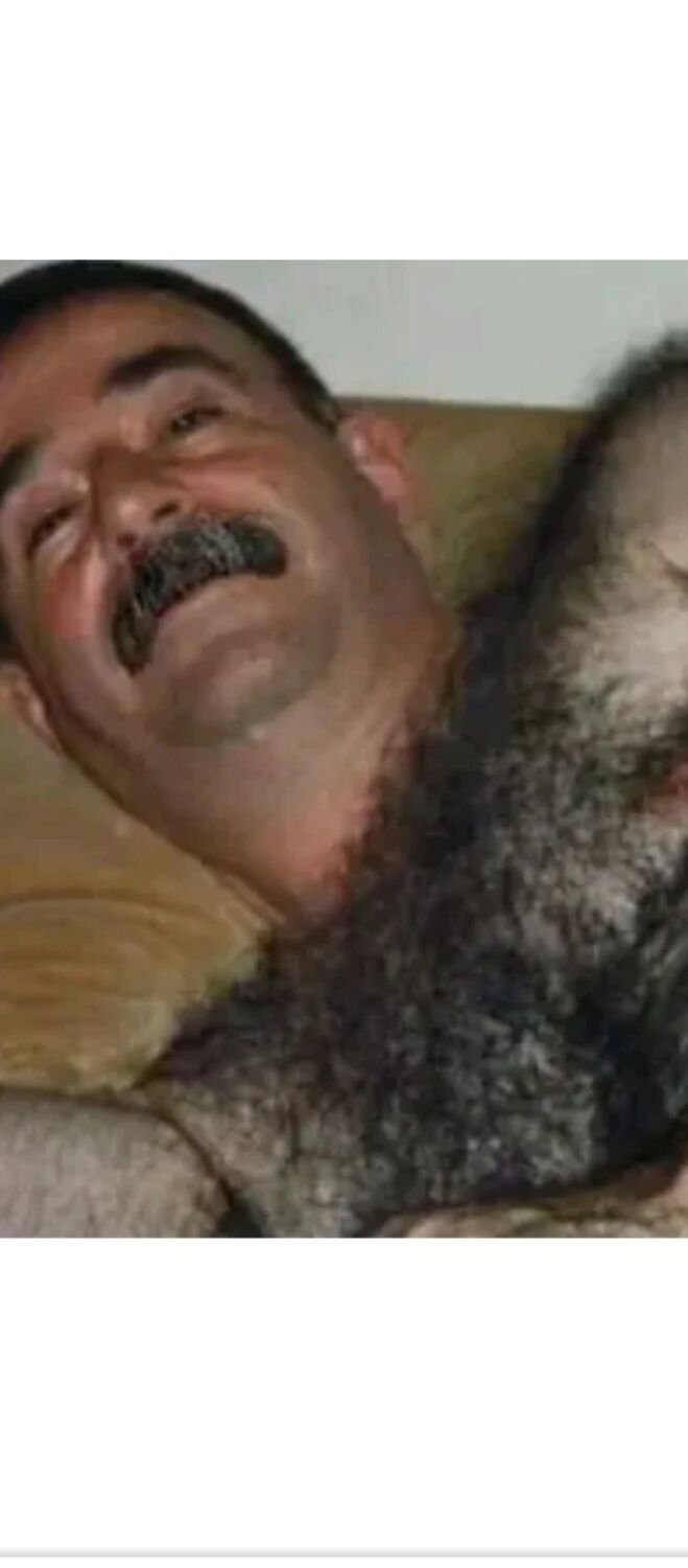 ���� 56032284 ������� �������, 37 ���, ���� ���������� � ����������