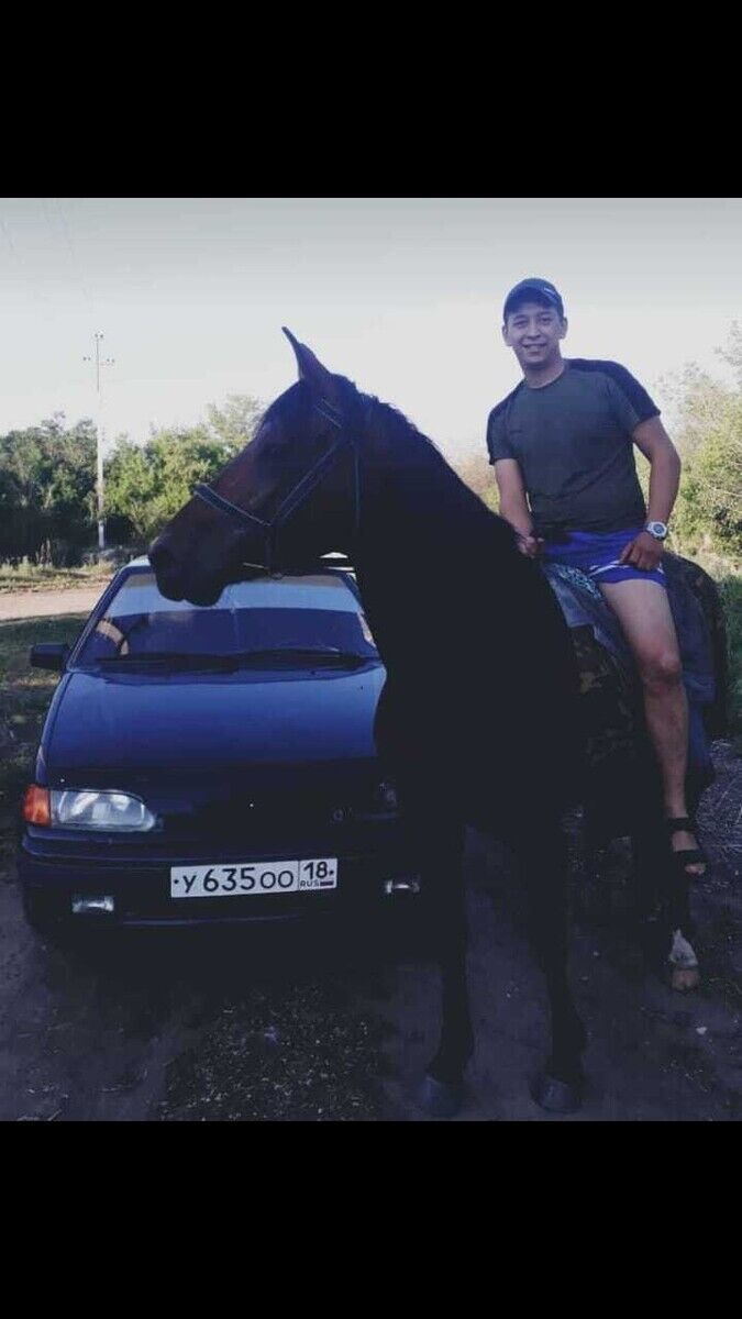  ,   Nurbek, 31 ,  