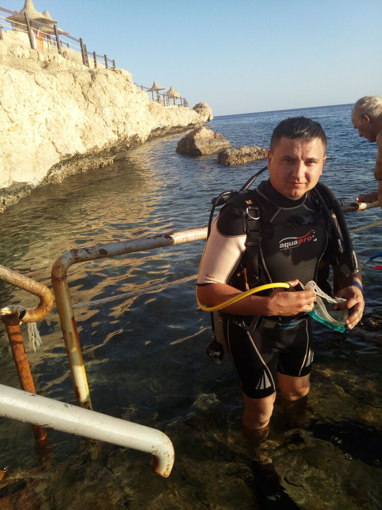 ���� 16893704 ������� ������, 36 ���, ���� ���������� � ���������