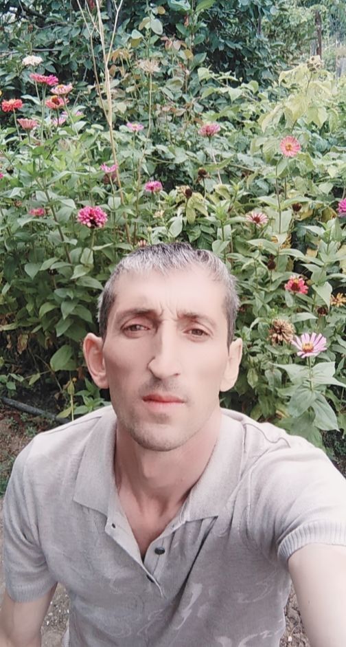  32636874  , 46 ,    