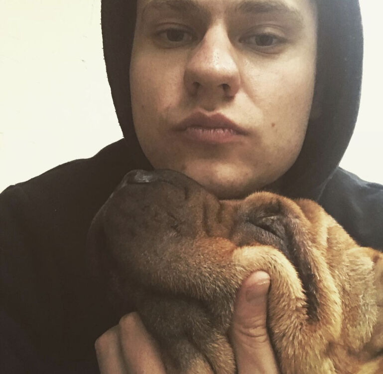 ���� 39603214 ������� ����, 32 ����, ���� ���������� � ������