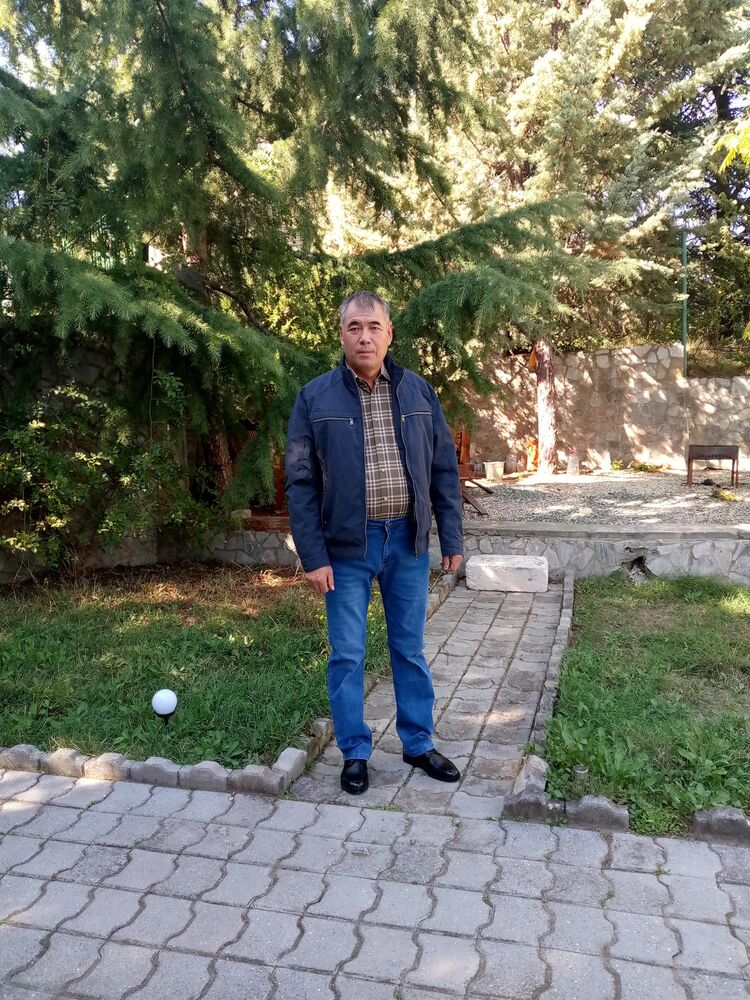 ���� 56046394 ������� ��������, 50 ���, ���� ���������� � �������