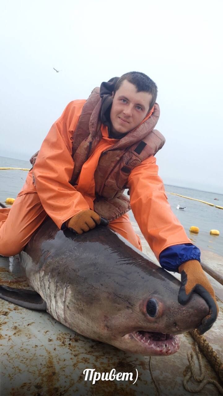 ���������� ���������, ���� ������� �����, 27 ���, ������������ ��� c�������� ���������, ���������