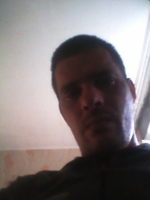  17972384  , 41 ,    
