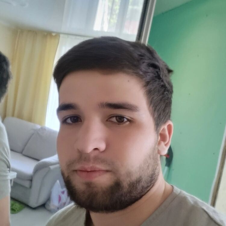  52821244  , 28 ,    
