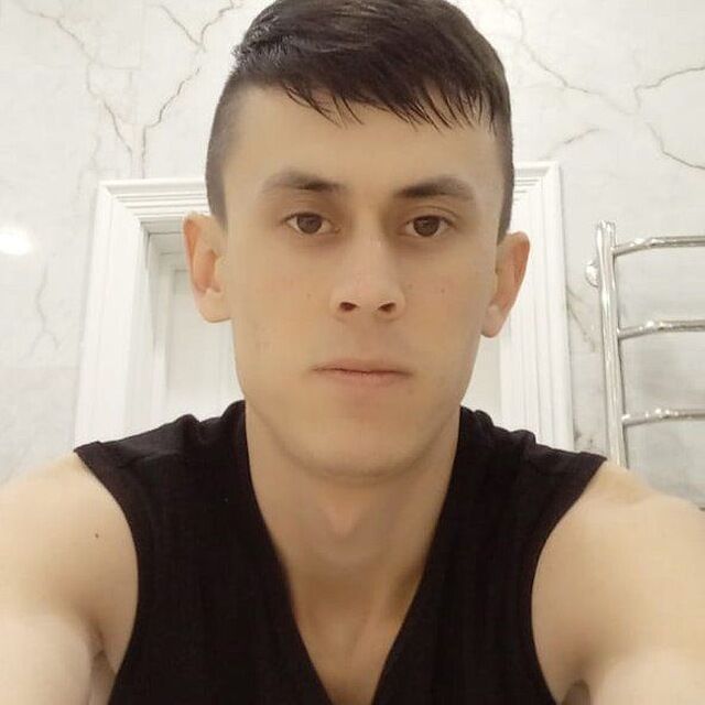  33737364  , 24 ,    