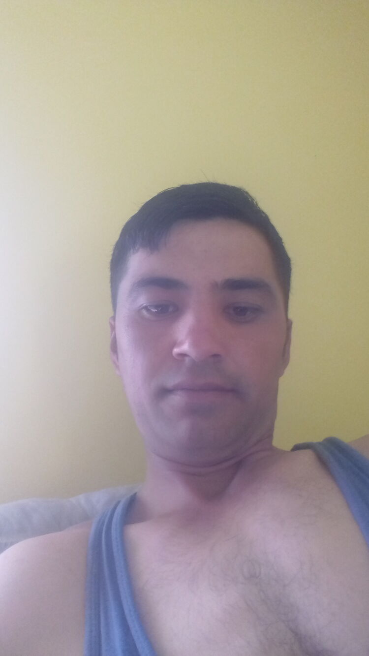  28884834  , 31 ,    