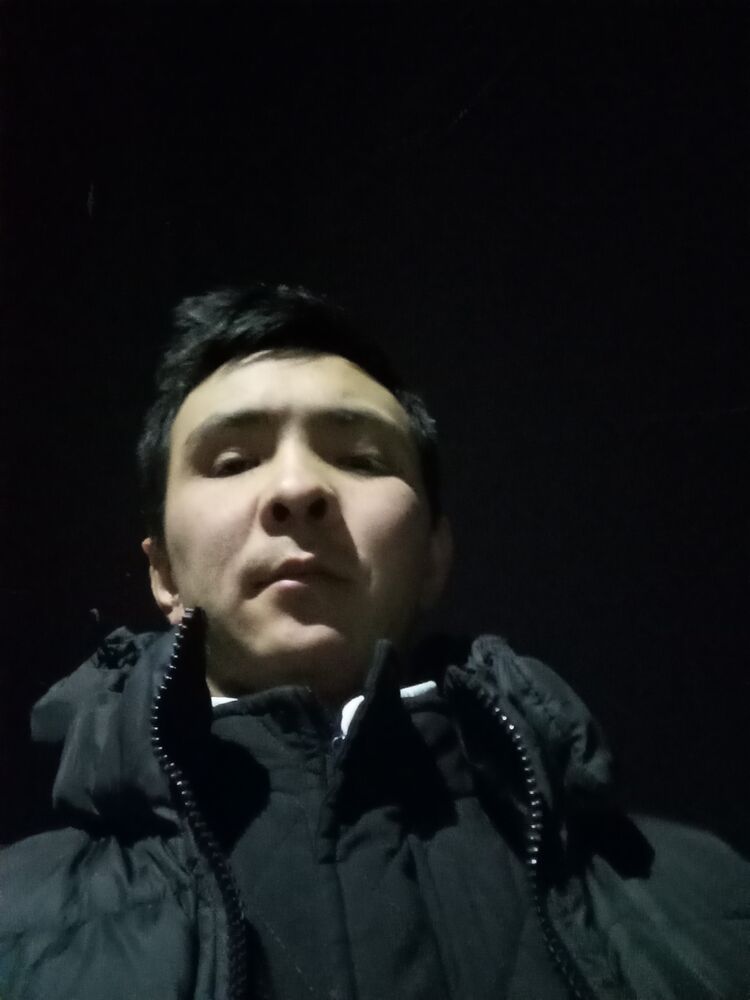  43195254  , 26 ,    