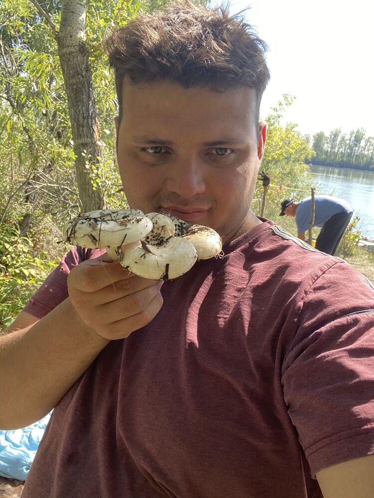 ���������� �����, ���� ������� ������, 31 ���, ������������ ��� ������, ����� � ���������, c�������� ���������, ���������