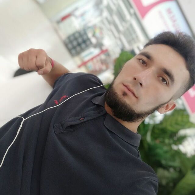  31808264  , 26 ,    