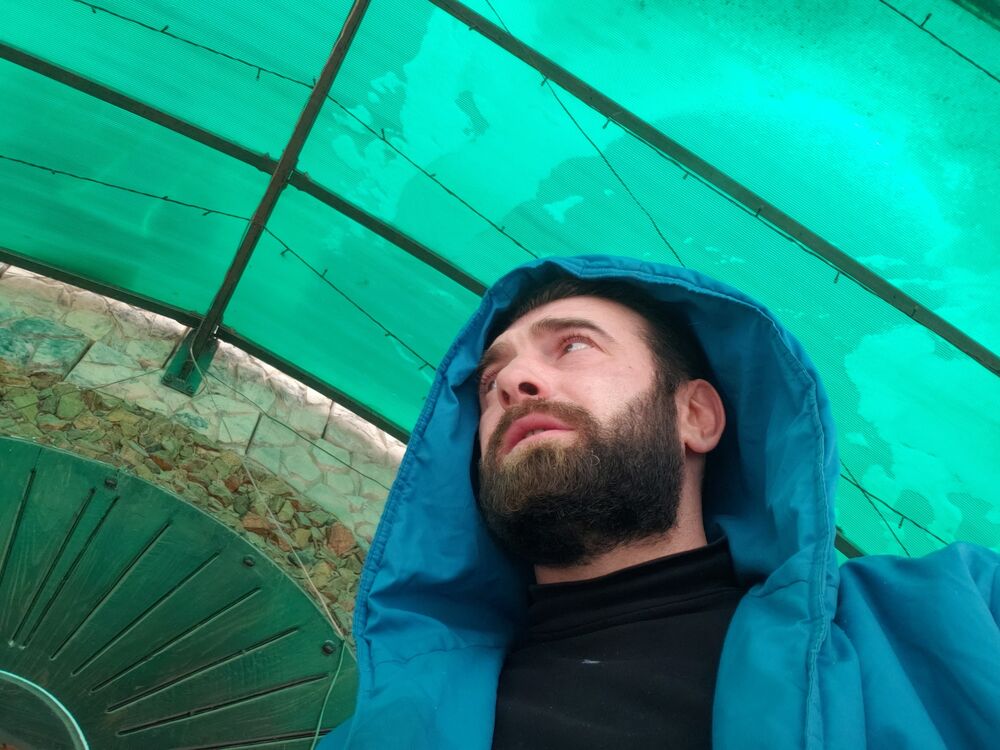 ���� 25555344 ������� Leon, 35 ���, ���� ���������� � �������������