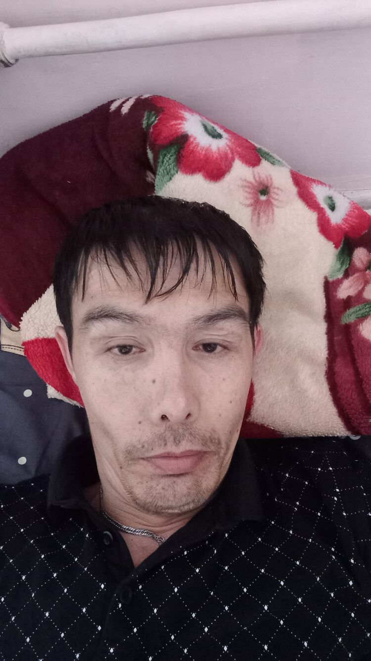  47526054  , 44 ,    -