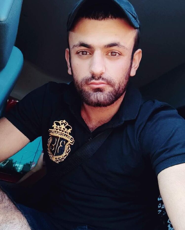  ,   Vache, 29 ,   ,   